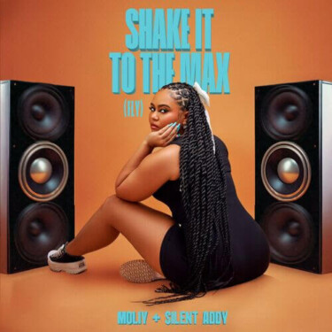 MOLIY, Shenseea, Skillibeng & Silent Addy - Shake It To The Max (Fly)